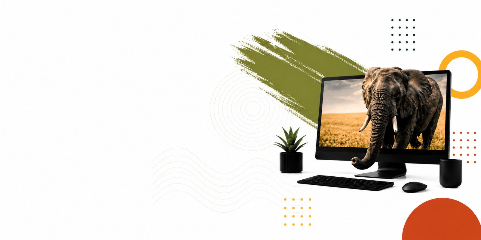 A Brand People — Zambezi Creative